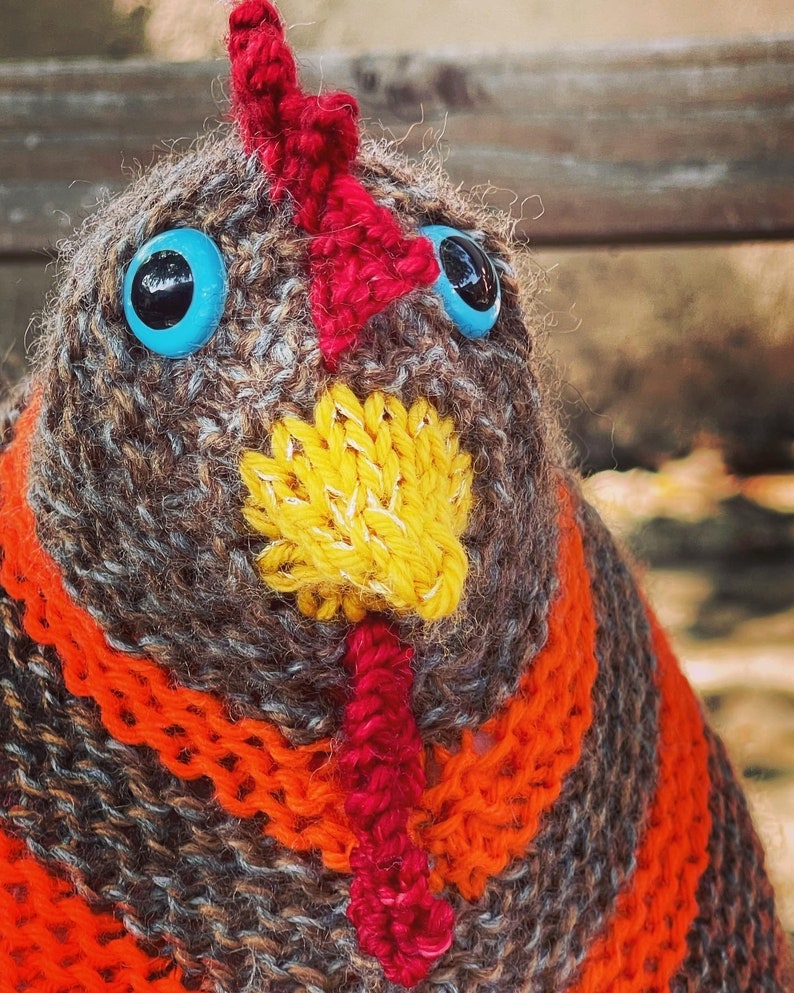 Chicken Knitting Pattern